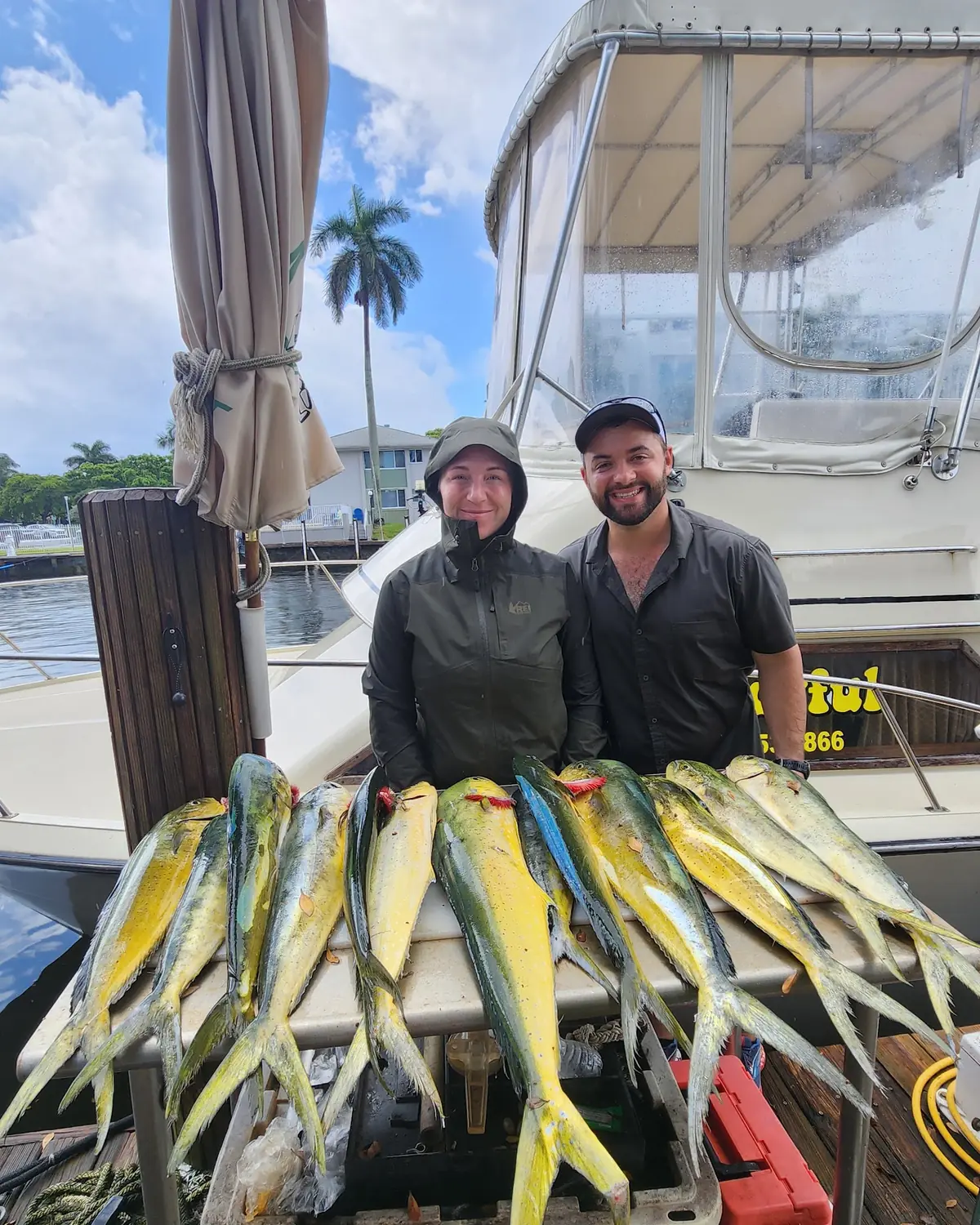 A row of mahi mahi laid out on the dock beside the Gradyful boat in Pompano Beach